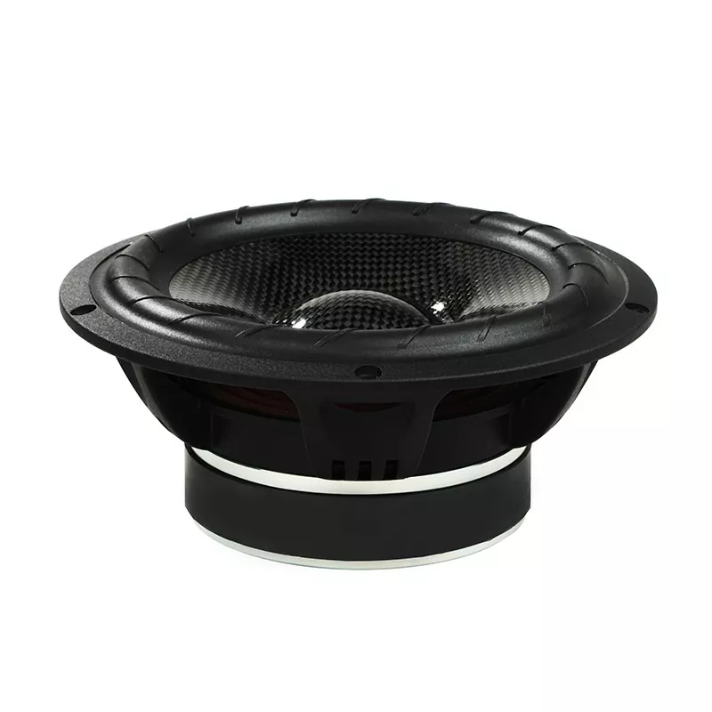 2-vejs Carbon Fiber højttaler